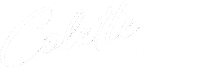 logo-img